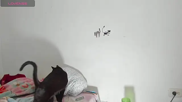 Raven Rouge  online show from 09-26-25, 06:17