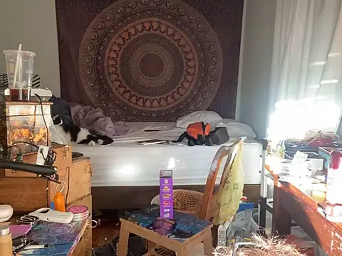 Snapshot of XanderOzzz chatting on 11-06-25, 09:48 XanderOzzz online show from 11-06-25, 09:48