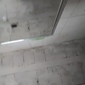 rodrigohuge online show from 11-26-25, 12:39