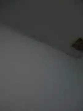 Snapshot of Kriffert chatting on 11-01-25, 11:51 Kriffert online show from 11-01-25, 11:51