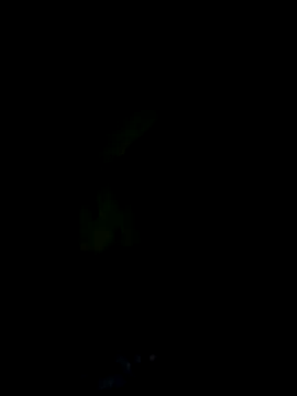 Ternura Prohibida online show from 10-18-25, 03:42