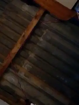 Snapshot of LUISSLEONN0958 chatting on 09-25-25, 09:02 LUISSLEONN0958 online show from 09-25-25, 09:02