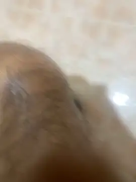 Snapshot of Binuthomas chatting on 11-24-25, 05:01 Binuthomas online show from 11-24-25, 05:01