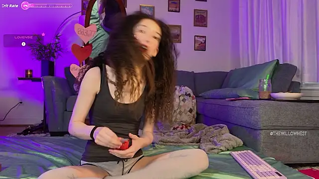 thewillownest  online show from 02-06-26, 03:04