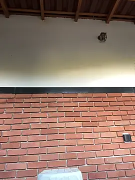 Snapshot of Dunot__ chatting on 12-21-25, 09:16 Dunot online show from 12-21-25, 09:16