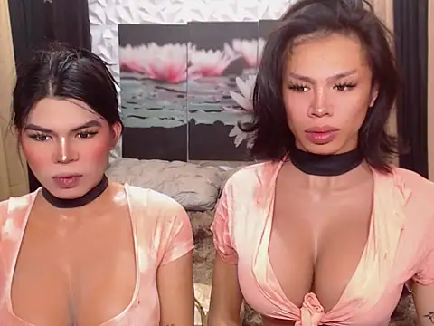 WILDROXIE online show from 12-16-25, 04:17