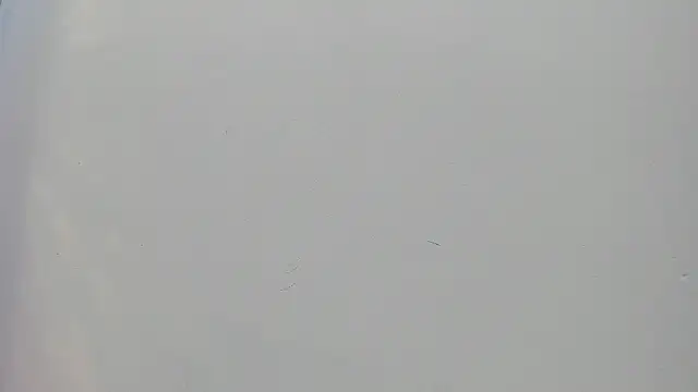 Snapshot of Saammy_17 chatting on 09-25-25, 08:23 Saammy 17 online show from 09-25-25, 08:23