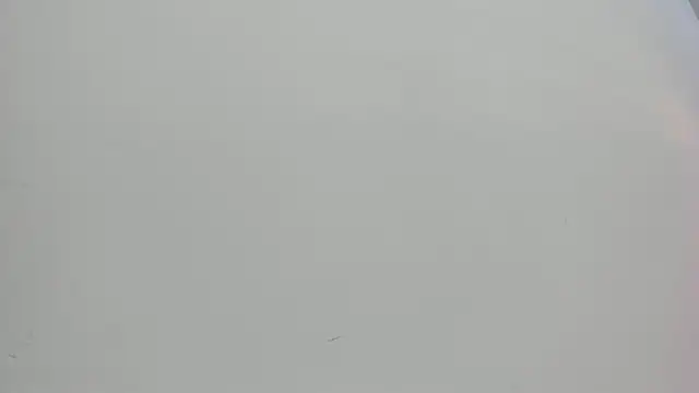 Snapshot of Saammy_17 chatting on 10-01-25, 08:04 Saammy 17 online show from 10-01-25, 08:04