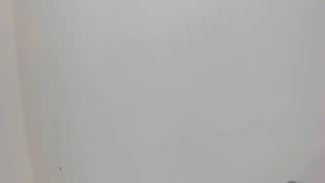 Snapshot of Saammy_17 chatting on 10-03-25, 08:06 Saammy 17 online show from 10-03-25, 08:06