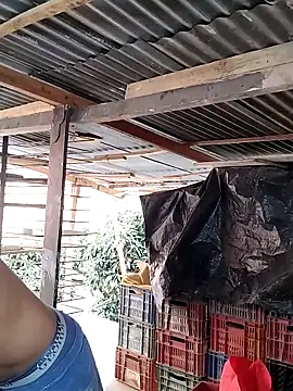 hoteder online show from 02-24-26, 01:53