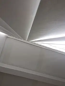 Adonis WB online show from 10-15-25, 09:59