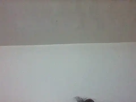 pretty349 online show from 04-20-26, 01:14