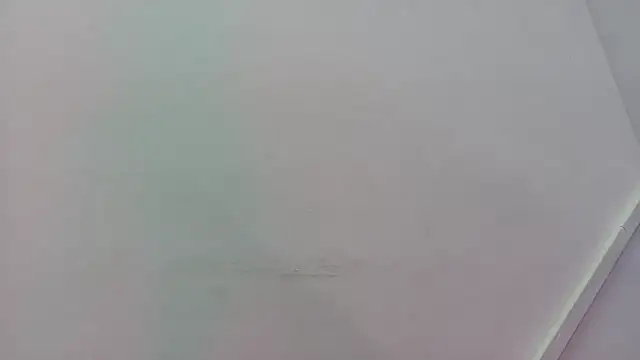 Lizbeth Rouse online show from 11-21-25, 11:31