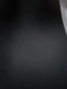 Lizbeth Rouse online show from 12-17-25, 11:05