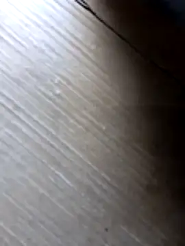 liza-212 online show from 10-10-25, 09:41