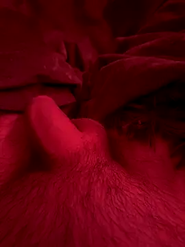 couplefuck   online show from 12-16-25, 07:57