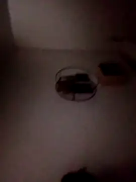 P E R V I T I N online show from 04-06-26, 01:58