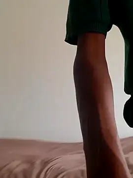 gemini loops online show from 02-12-26, 09:37