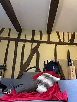 Toto-pika online show from 03-26-26, 08:53