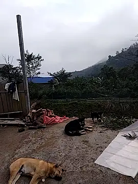 linda bae00 online show from 12-19-25, 02:07