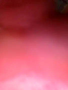 phunphun online show from 11-24-25, 11:26