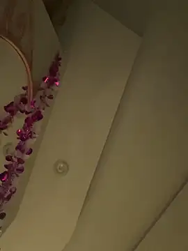 Snapshot of HaltBrand chatting on 03-01-26, 09:11 HaltBrand online show from 03-01-26, 09:11