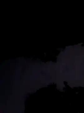 Apkisona8 online show from 11-01-25, 02:08