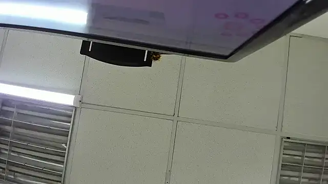 Aisha hotts777 online show from 04-10-26, 03:45