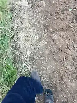 dolphiinn online show from 02-14-26, 01:24