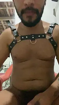 spiderfindom online show from 11-04-25, 05:28