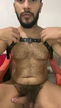 spiderfindom online show from 12-01-25, 06:18