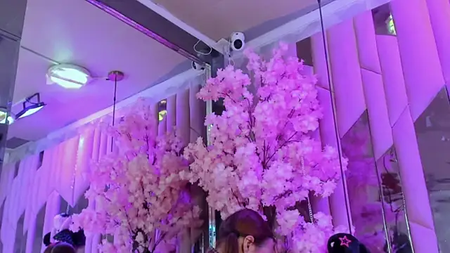 Snapshot of TessaCooper1 chatting on 11-09-25, 09:46 TessaCooper1 online show from 11-09-25, 09:46