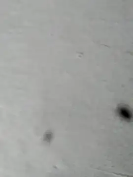 Mollysdick online show from 04-16-26, 02:18