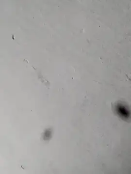 Mollysdick online show from 04-17-26, 11:24