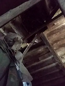  Helala  online show from 10-21-25, 11:49