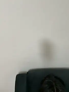 gayfucuxuc online show from 12-15-25, 01:04