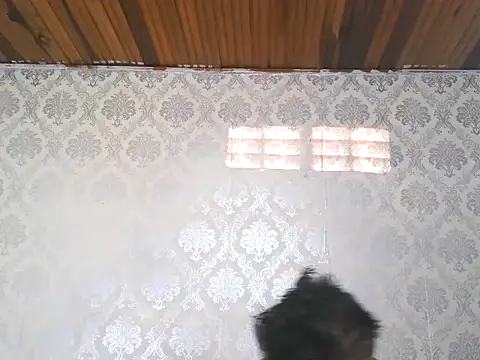 leandro477 online show from 09-13-25, 09:14