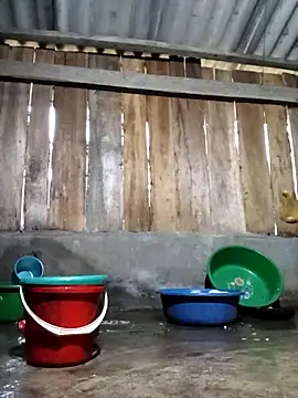 Ngocmi909 online show from 03-11-26, 11:55