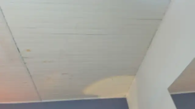 BellaBoobs  online show from 10-03-25, 07:44