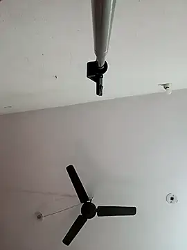 Appypie online show from 11-09-25, 06:44