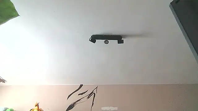   Leyla   online show from 01-12-26, 12:21