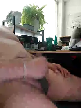 exhibimex online show from 12-18-25, 04:02