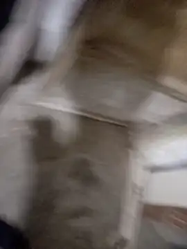 Snapshot of soyricog chatting on 12-18-25, 12:17 soyricog online show from 12-18-25, 12:17