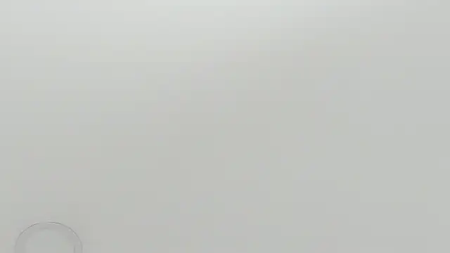 scarletross  online show from 02-26-26, 02:38