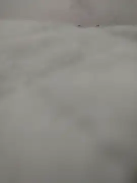 safadomoreno online show from 04-12-26, 12:26