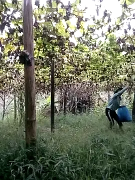 ngan-cute online show from 10-22-25, 11:15