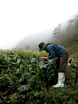 ngan-cute online show from 03-12-26, 04:07