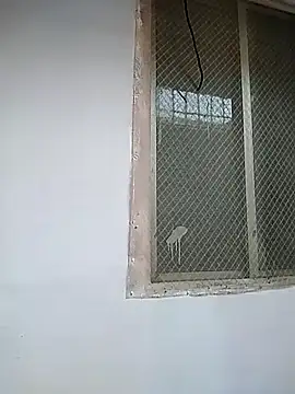 7incpink online show from 12-02-25, 04:18