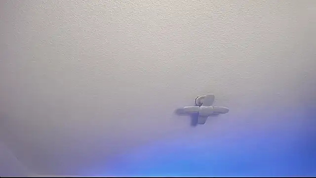  Charlotte Collins  online show from 02-09-26, 02:54