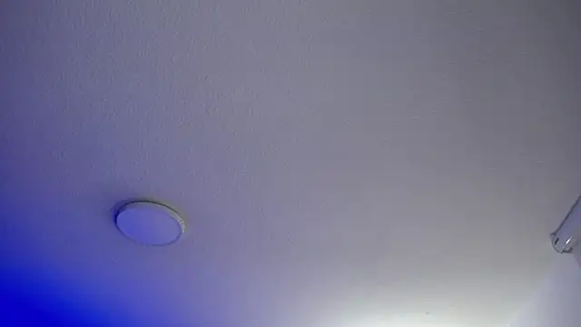 Snapshot of _Charlotte_Collins_ chatting on 05-20-26, 03:18 Charlotte Collins online show from 05-20-26, 03:18